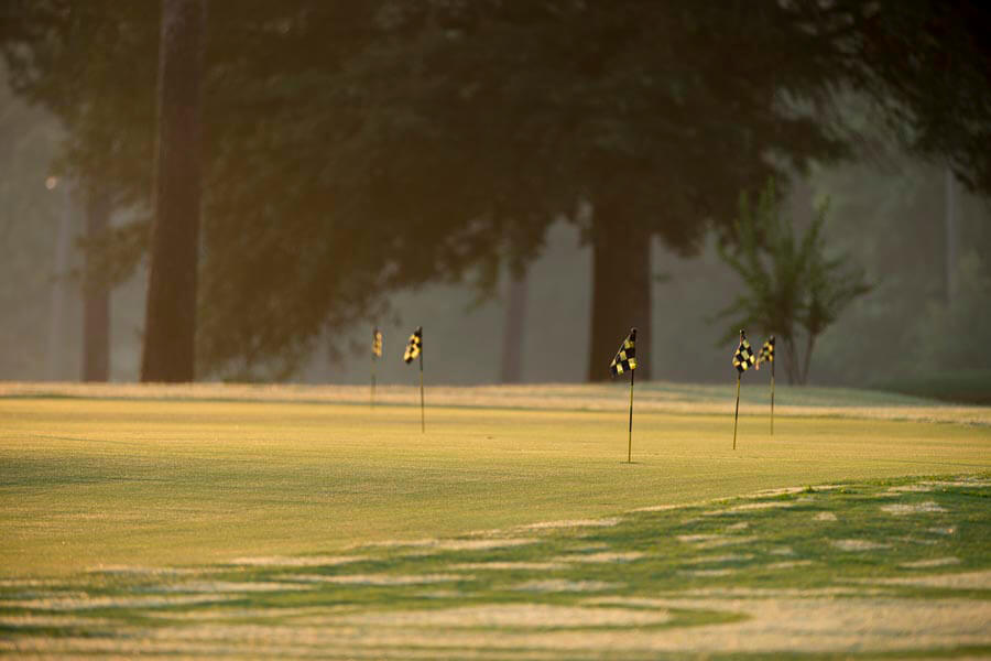 Lake Blackshear Photos Videos Golf 02